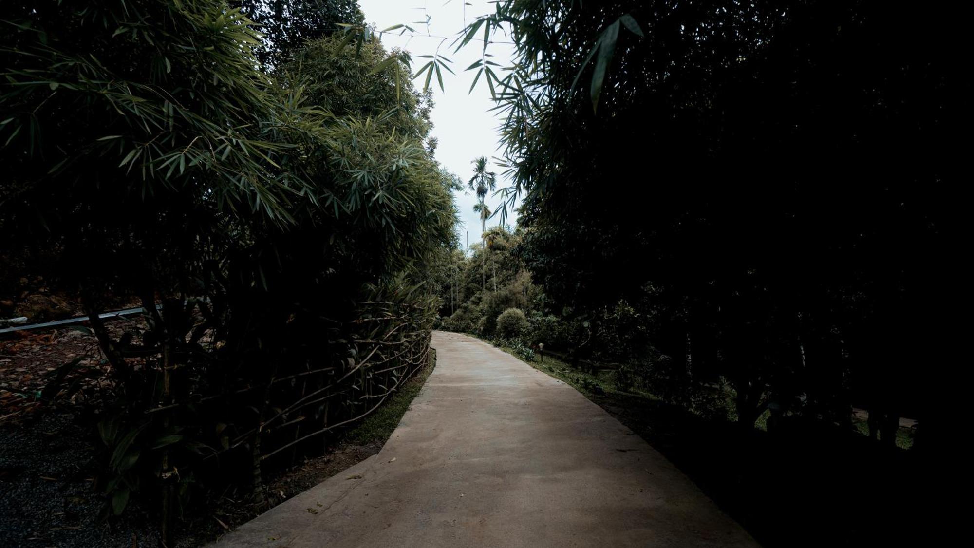 Vythiri Holiday Resort, Wayanad エクステリア 写真