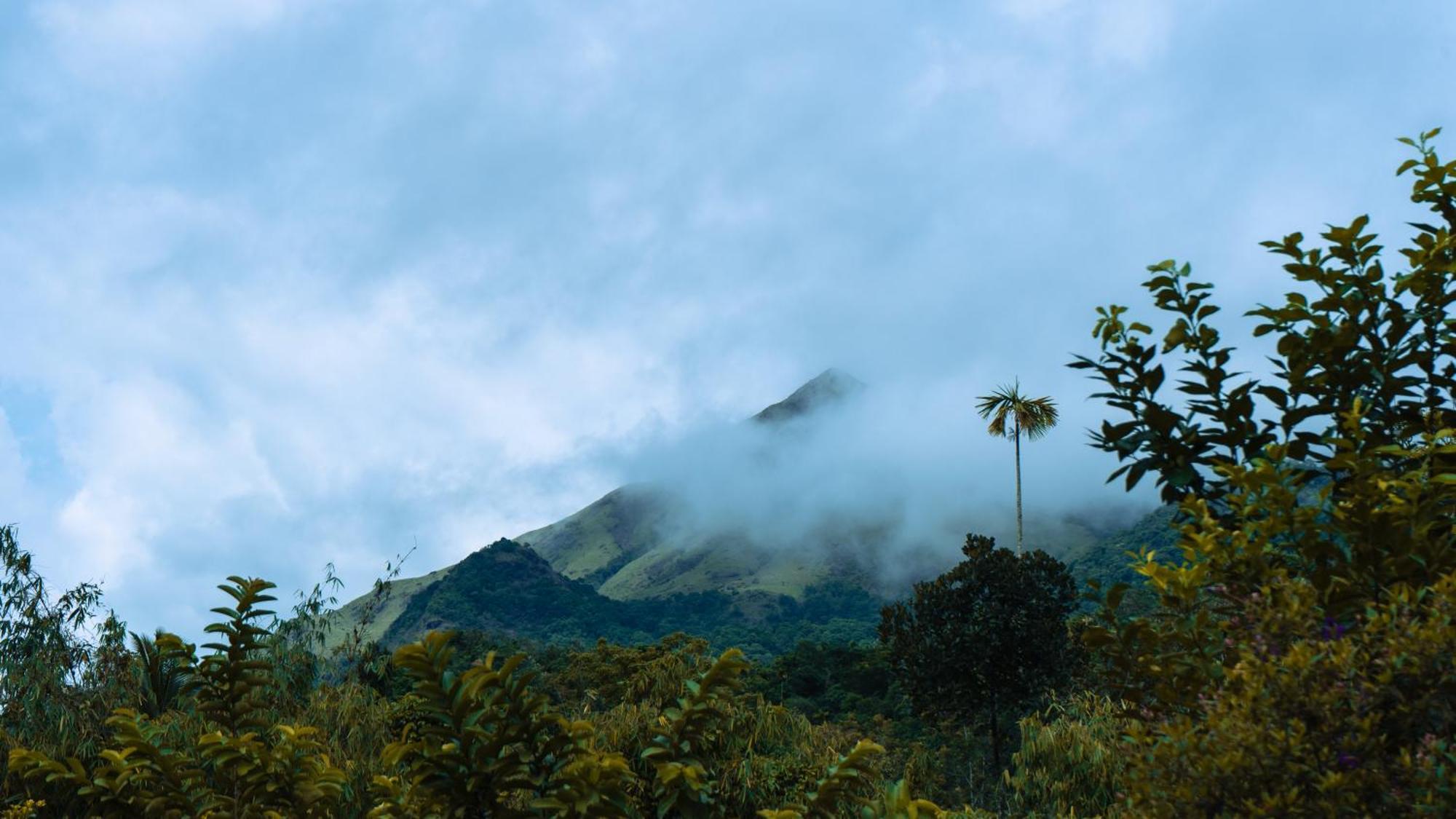 Vythiri Holiday Resort, Wayanad エクステリア 写真