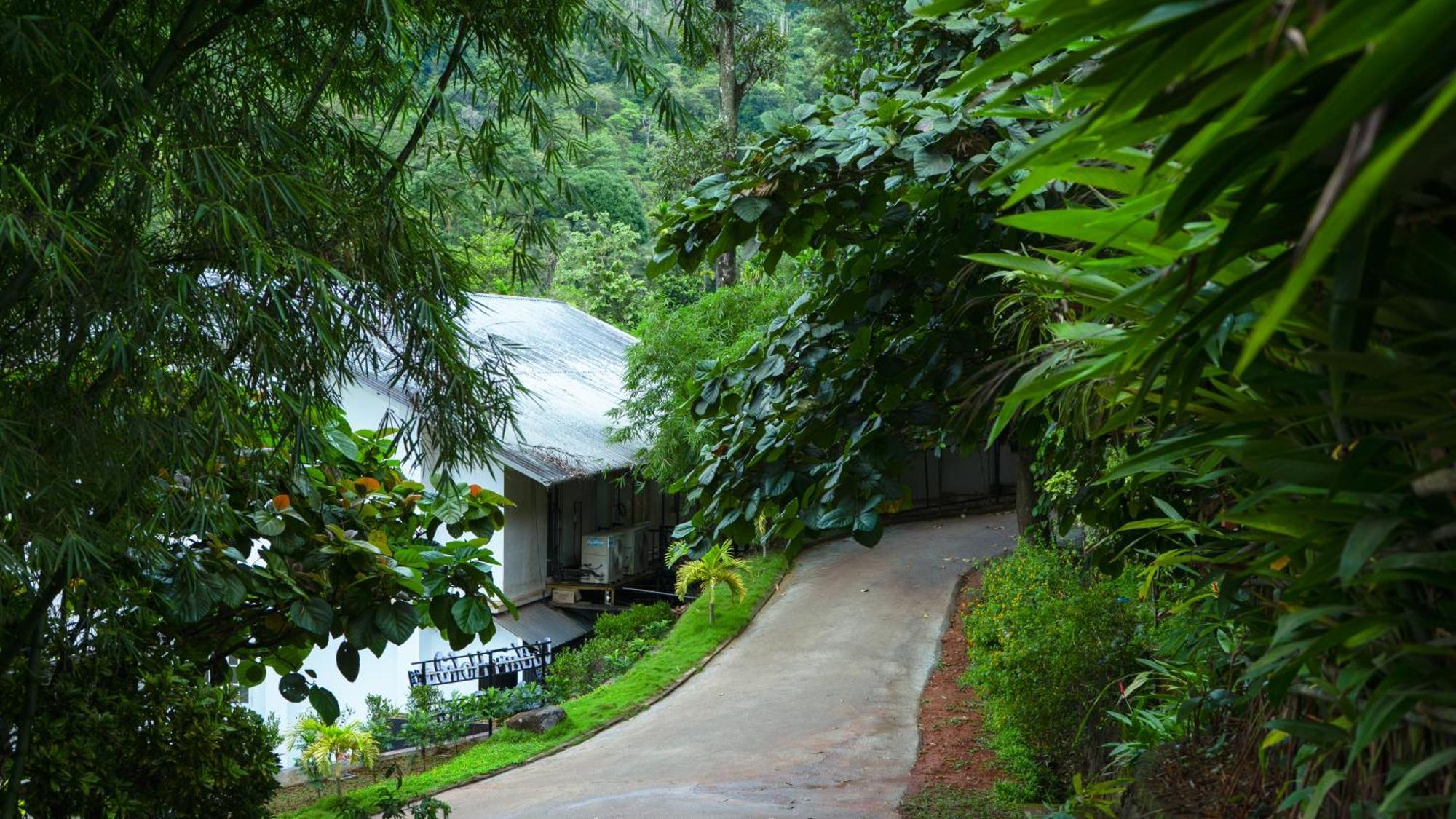 Vythiri Holiday Resort, Wayanad エクステリア 写真